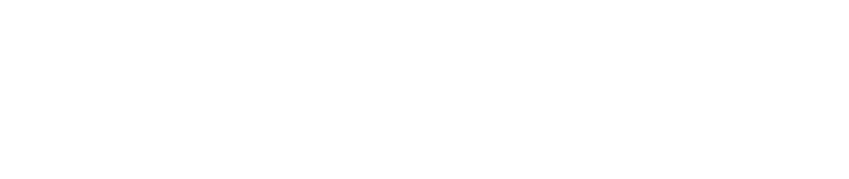 uipath-partner-platinum-lockup-digital-rgb-white