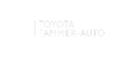 toytota-tammer-white